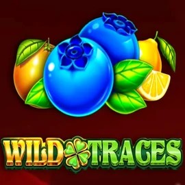Wild Traces casino game by Amusnet Interactive – featured logo at Ringospin Casino